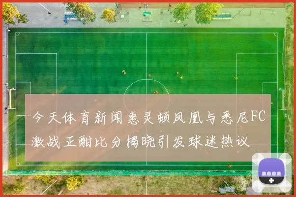 今天体育新闻惠灵顿凤凰与悉尼FC激战正酣比分揭晓引发球迷热议